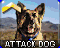Chien de Combat