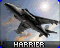 Harrier ou Busard de guerre