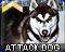 Chien de Combat