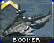Boomer