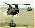 Chinook