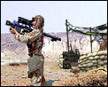 Site Stinger