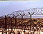 Structures fortifiées (palais)