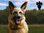 Chien d'Attaque