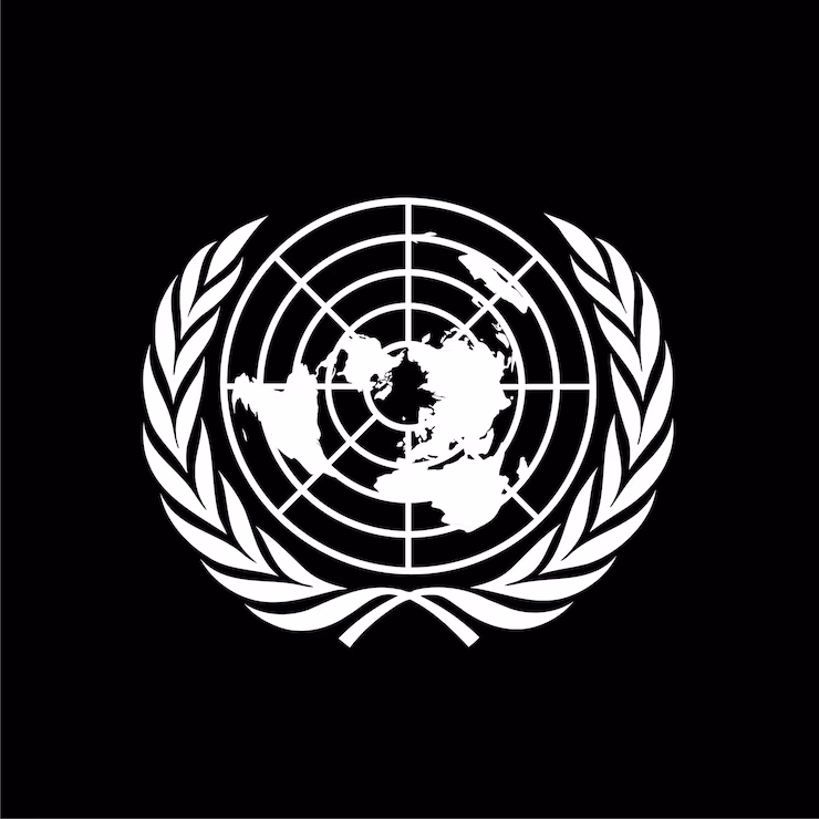 Organisation des Nations Unies (ONU)