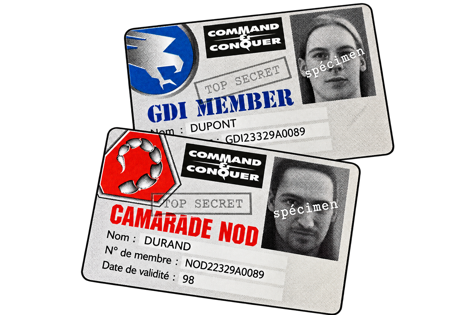Cartes membres (vues sur plaquettes)