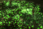 La version 2 du Tiberium