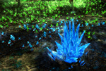 La version 2 du Tiberium