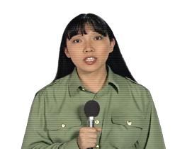Sun Meiying